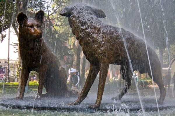 Fuente de los coyotes en el centro de Coyoacán, Ciudad de México